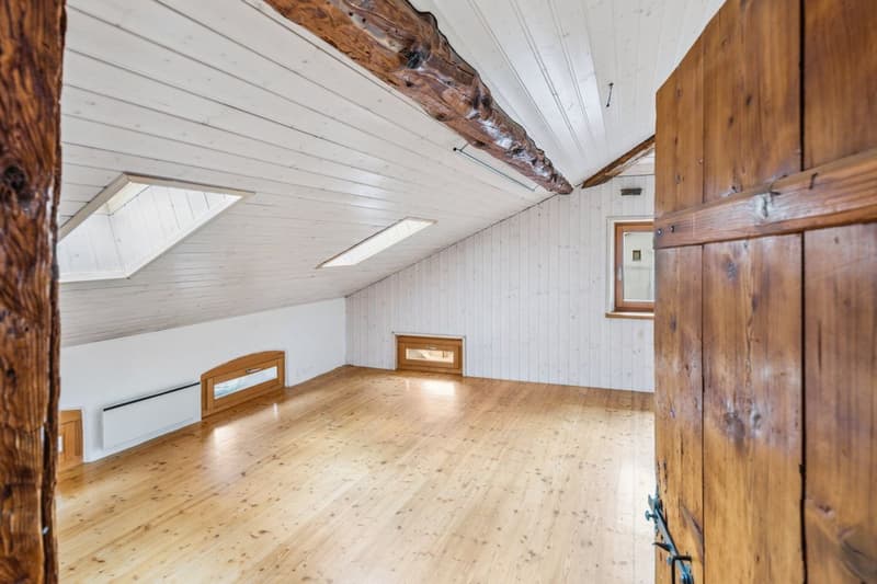 Beautiful attic-duplex apartment renovated with character and authenticity (6)