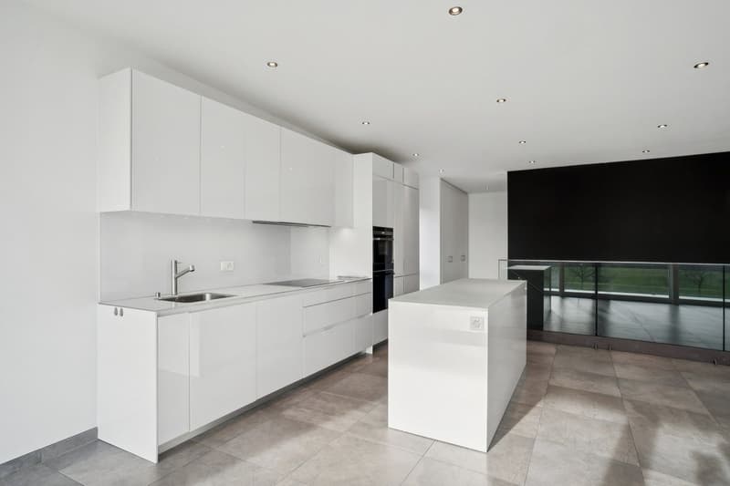 Living at height: Spacious attic with terrace in Collombey-Muraz (3)