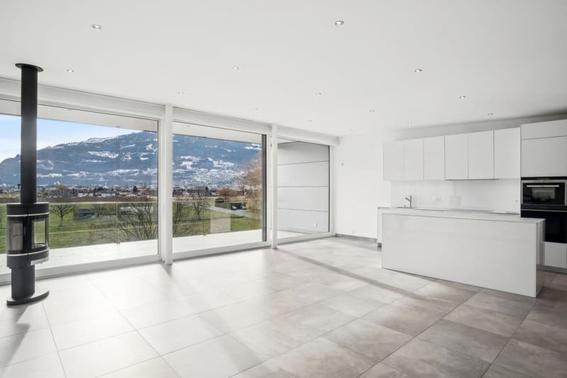 Living at height: Spacious attic with terrace in Collombey-Muraz (2)