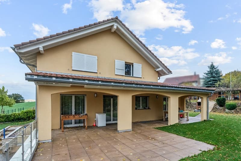 Modern and bright individual villa, dominant setting (4)