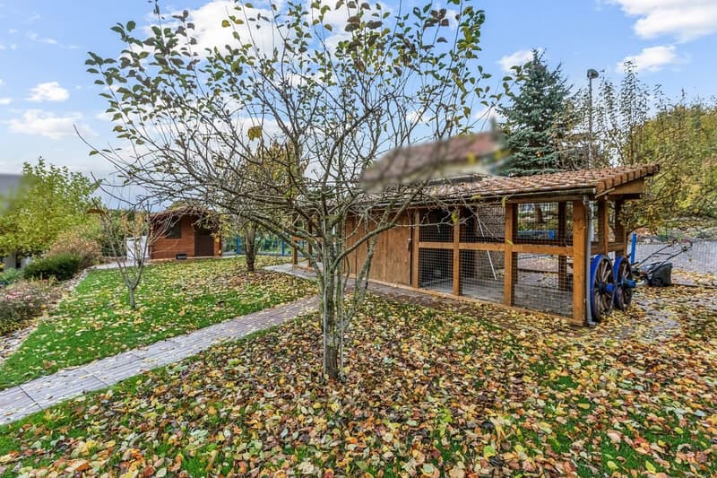 Modern and bright individual villa, dominant setting (3)
