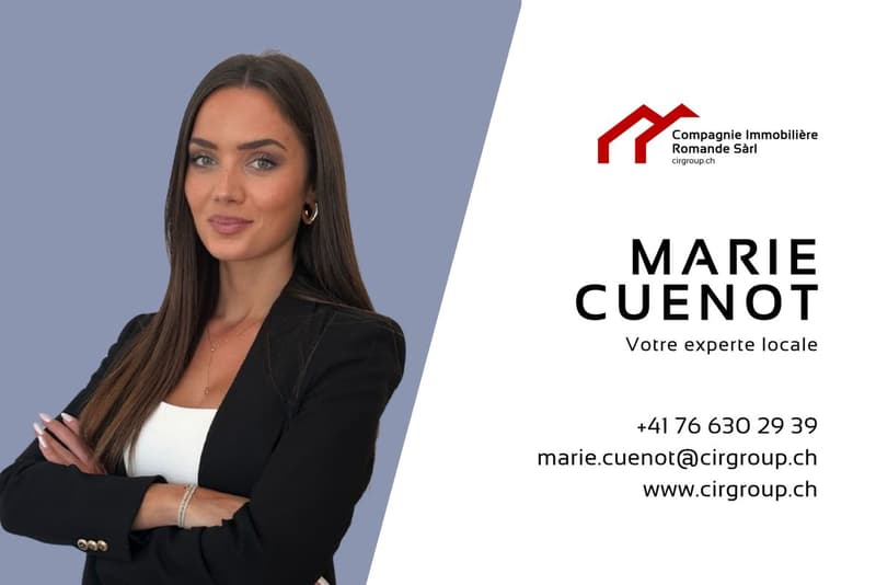Bright and full of potential duplex in the heart of La Chaux de Fonds (6)