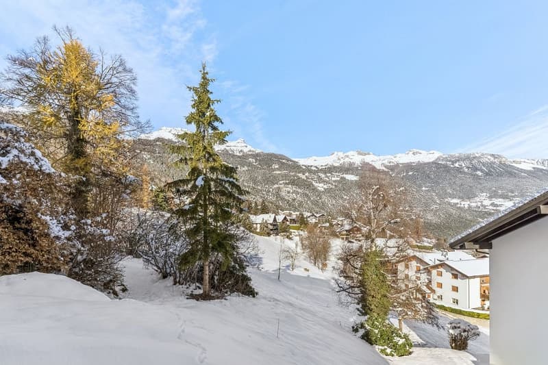 Appartamento luminoso di 3.5 locali con terrazza e terreno privato a Mollens (8)
