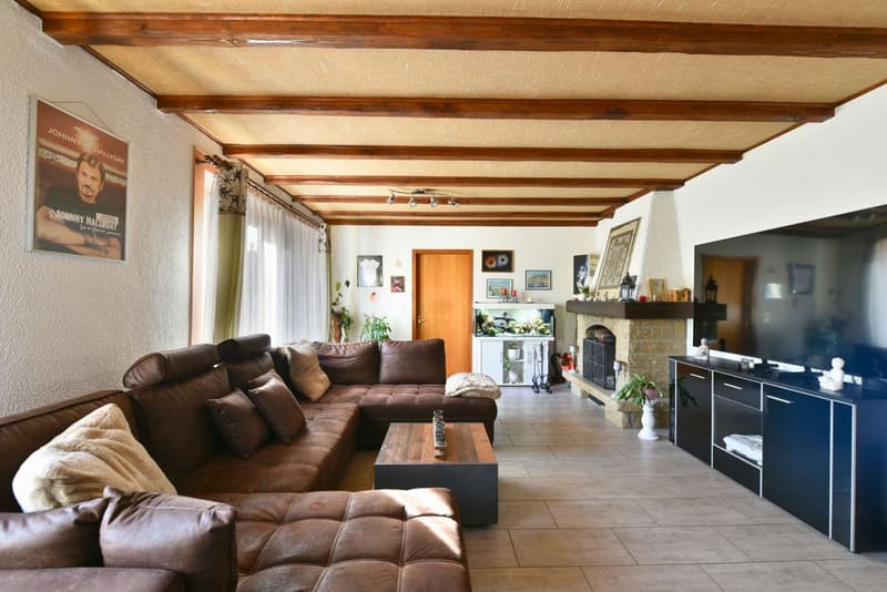 Bright single-family house (7)