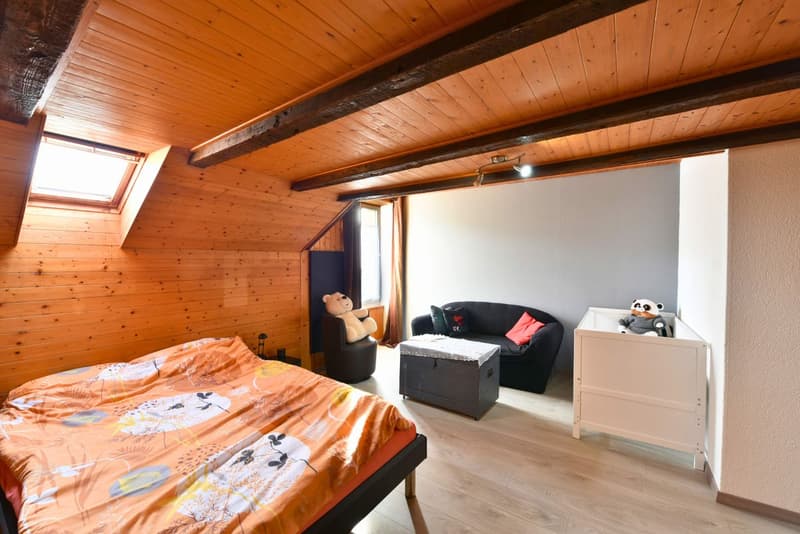 Bright single-family house (11)