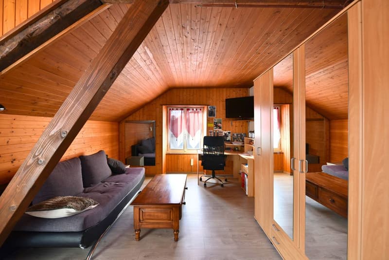 Bright single-family house (9)