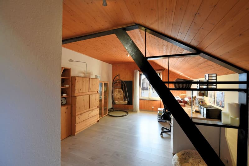 Bright single-family house (10)