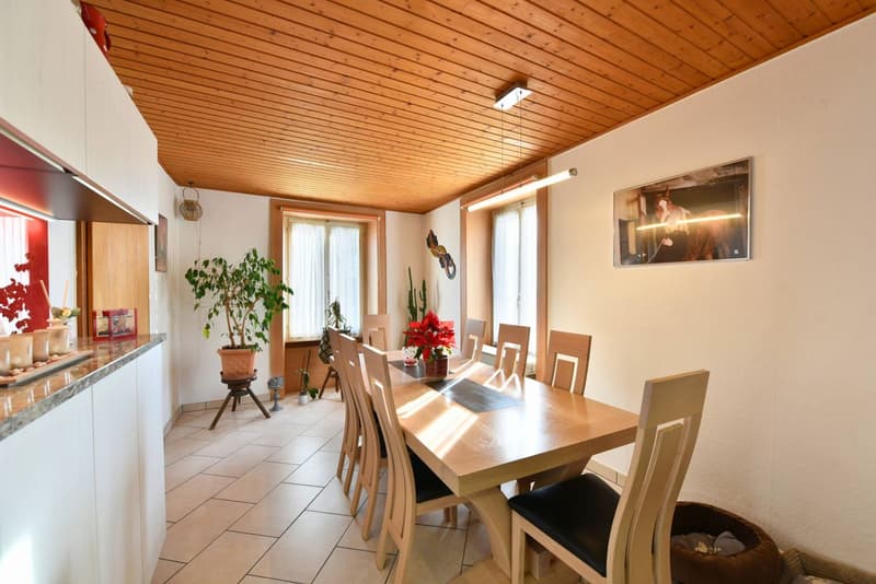 Bright single-family house (6)