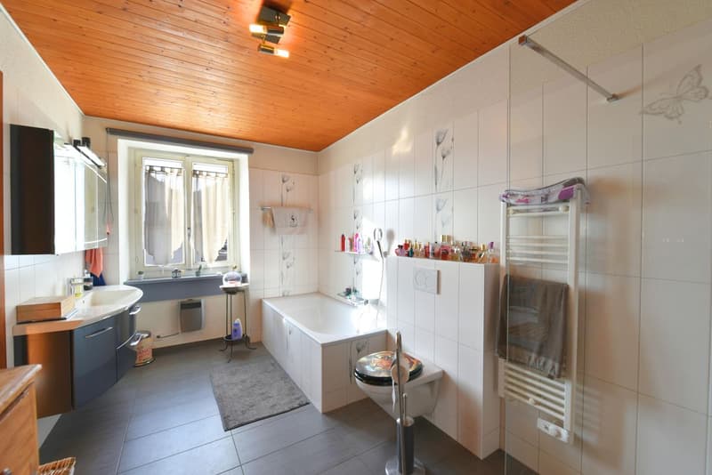 Bright single-family house (12)