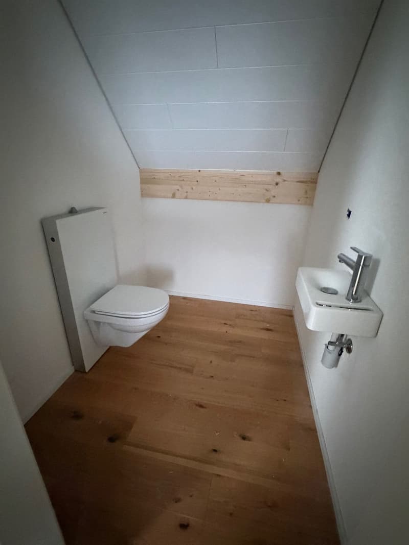 Lumineux duplex haut de gamme (7)