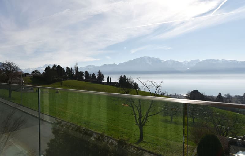 Villa d'eccezione con linee pure e minimaliste e vista panoramica (2)