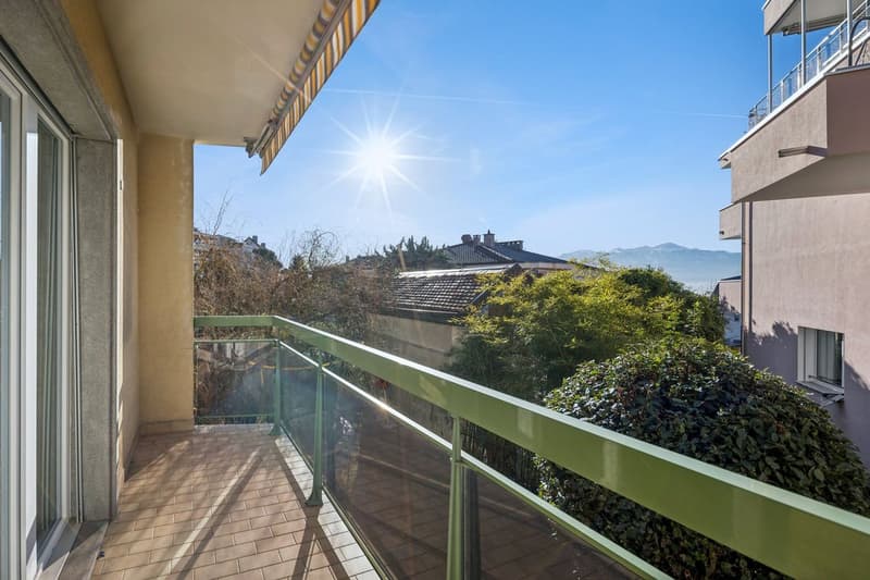 Appartement lumineux et calme : 2,5 pièces à Pully (11)