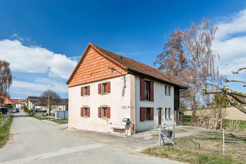 Four-room apartment with large garden in the countryside (7)