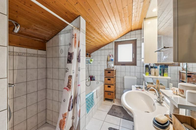 Vivete il comfort di una casa efficiente in un ambiente privilegiato a Enney (8)
