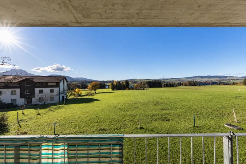 Elegante appartamento a Botterens con vista panoramica (6)