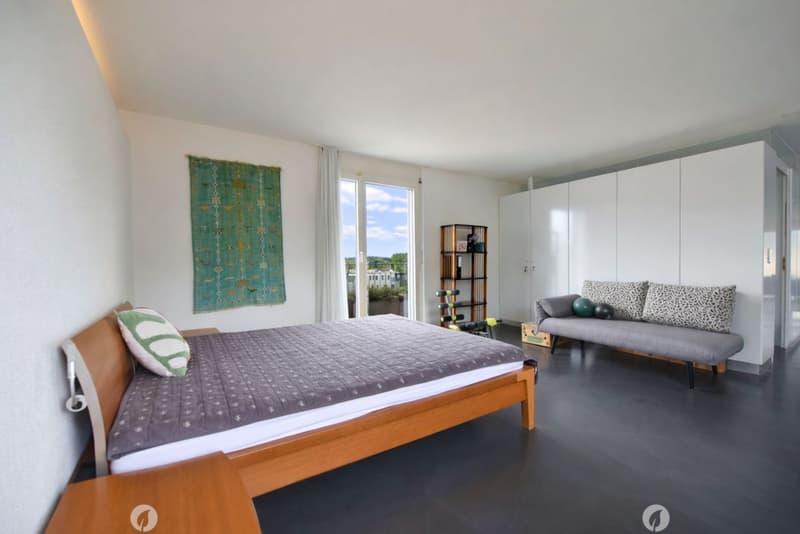 Eblouissant loft en attique (7)