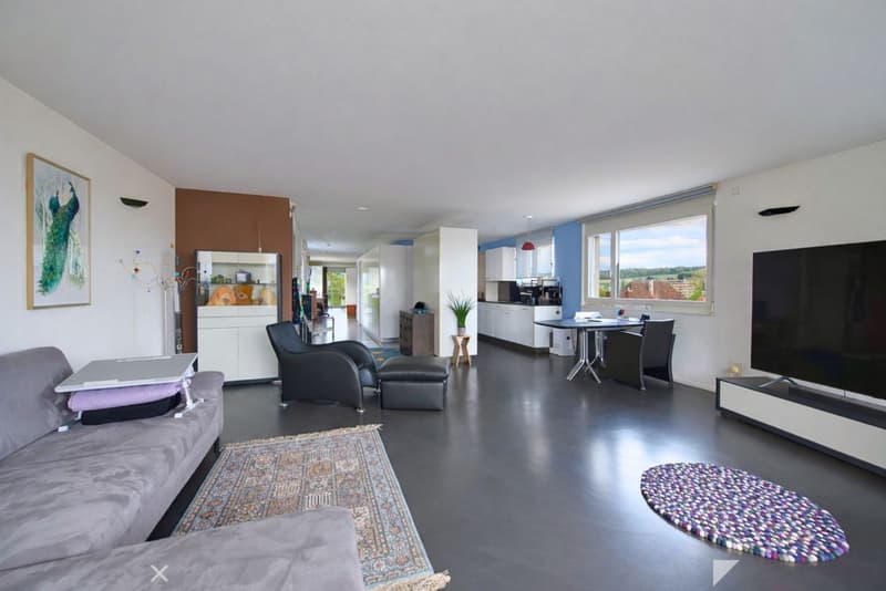 Eblouissant loft en attique (4)