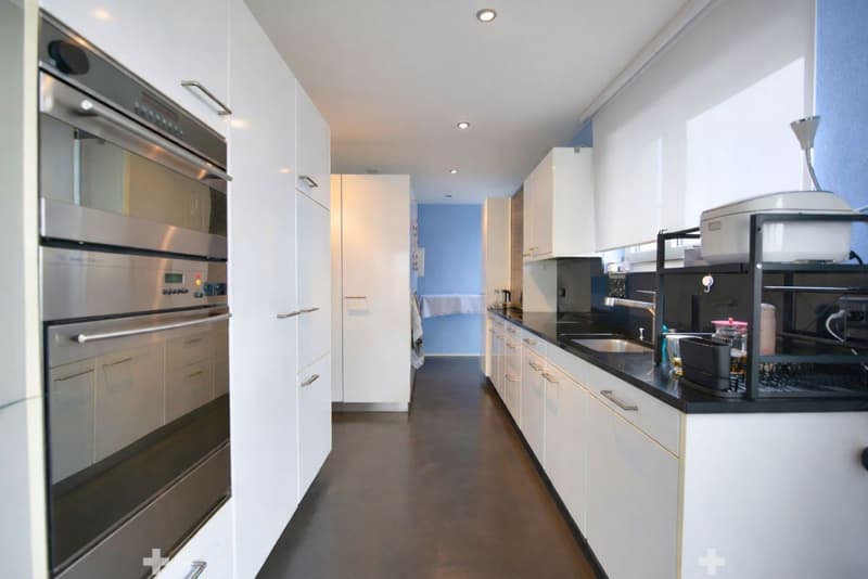 Eblouissant loft en attique (6)
