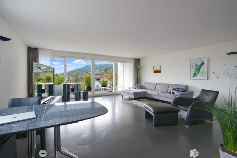 Eblouissant loft en attique (5)