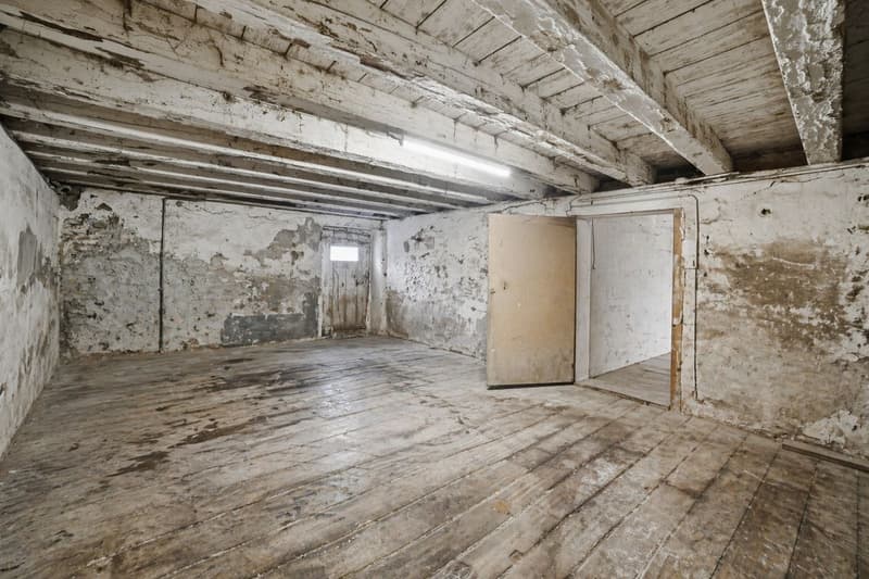 Barn to renovate with beautiful volumes and potential for transformation into several apartments (3)