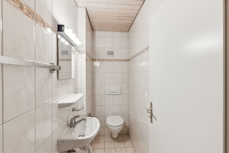 Beautiful through attic of 110 m², 15 minutes from the gates of Lausanne (12)