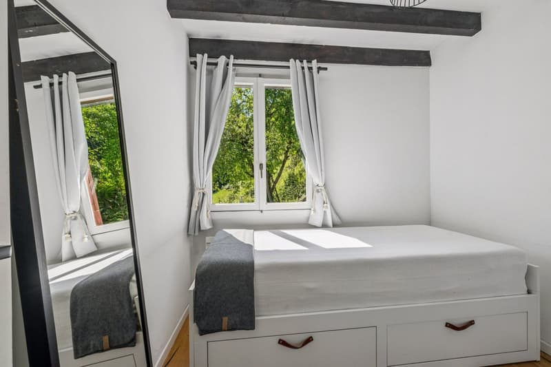 Lake view, nature and serenity: a charming house in Saint-Gingolph (6)