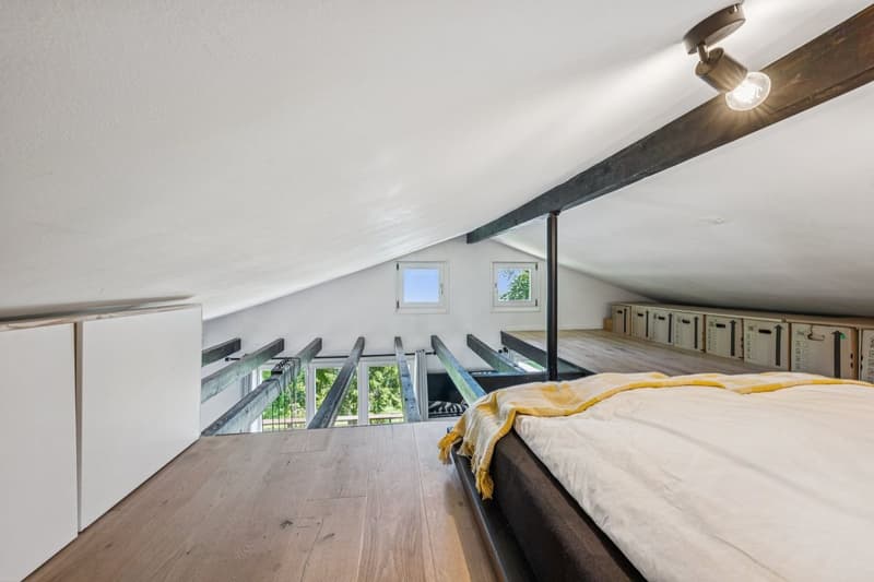 Lake view, nature and serenity: a charming house in Saint-Gingolph (7)