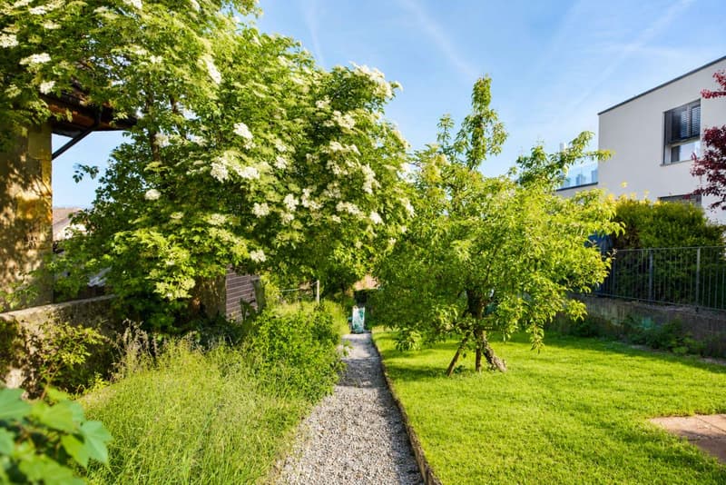 Apartment with 4.5 rooms, terrace, private garden and lake view (8)