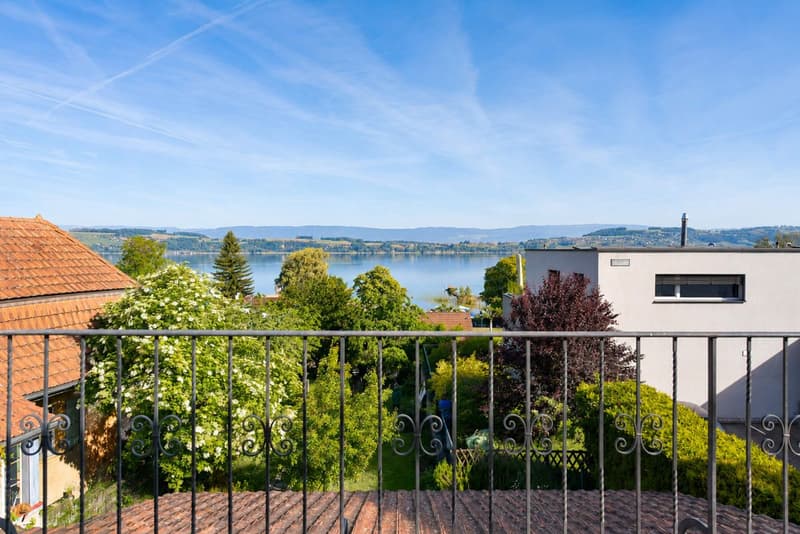 Apartment with 4.5 rooms, terrace, private garden and lake view (1)
