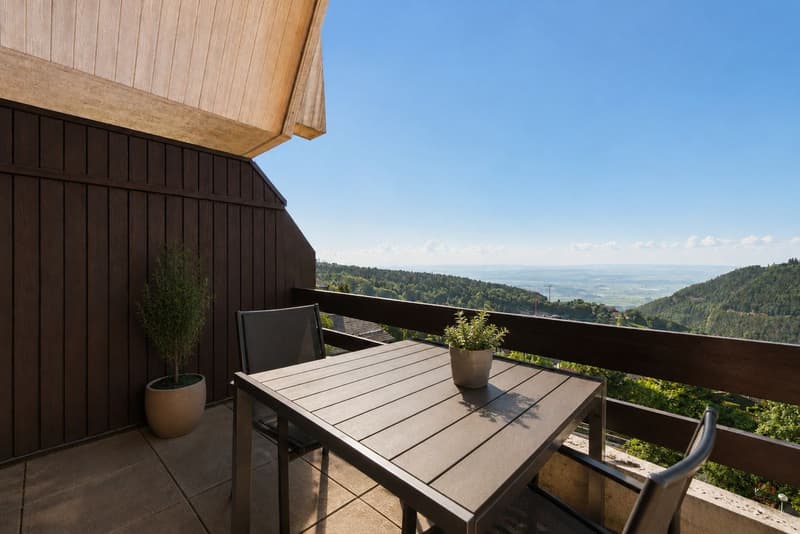Duplex with open view in Sainte Croix (1)