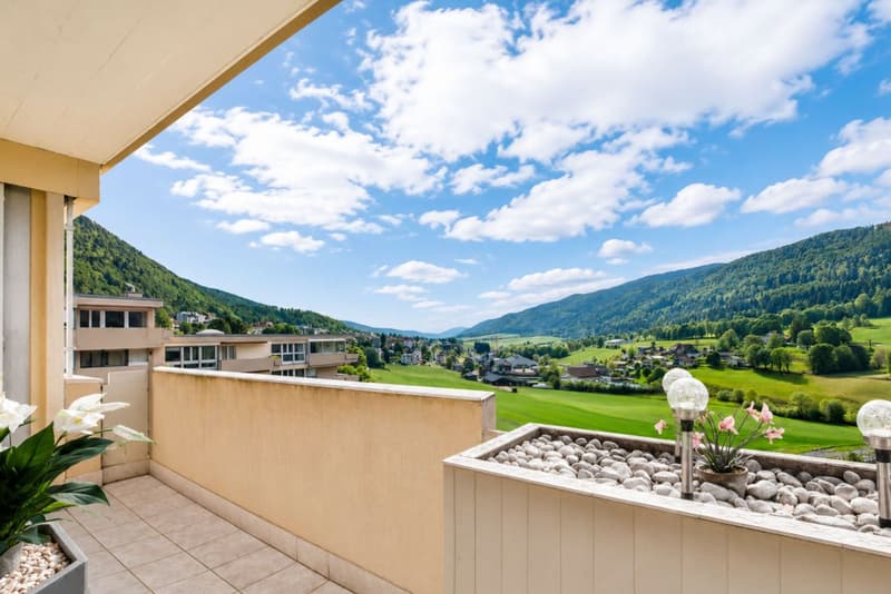 Bright attic with balcony and green view (10)