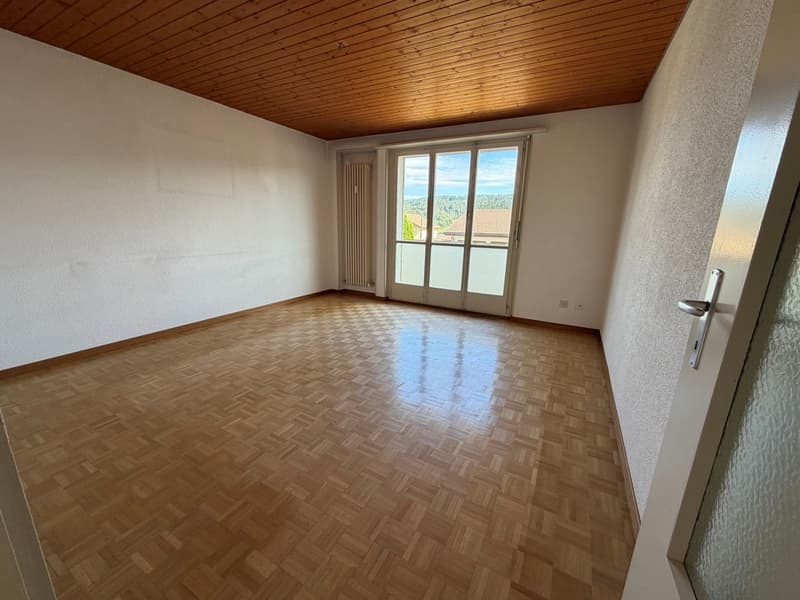 Helles Apartment zur Renovierung (1)