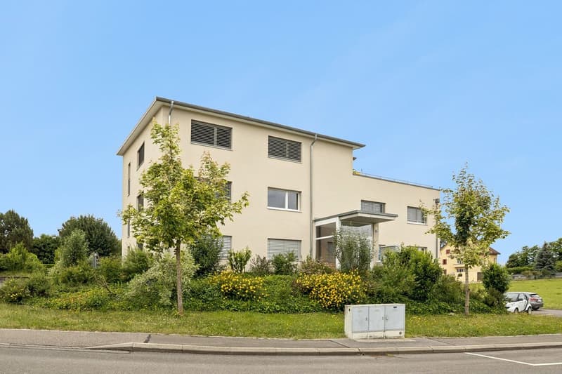 Appartamento luminoso di 4.5 locali con balcone (9)