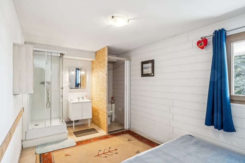 Chalet individuel de charme - Disponible résidence secondaire (9)