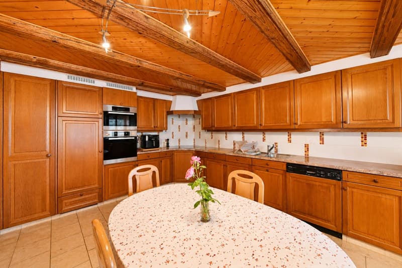 House in PPE with garden, terrace and garage (3)