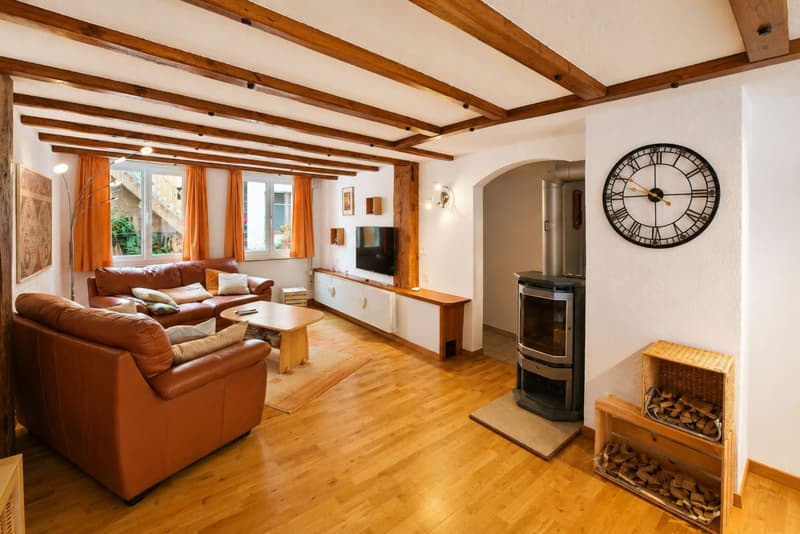 House in PPE with garden, terrace and garage (2)