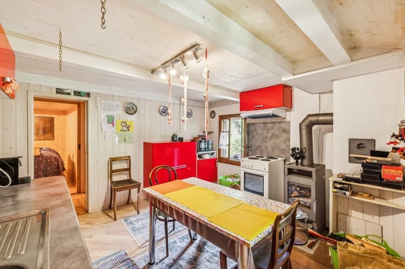 Authentic 1857 mayen on over 4000 m2 of land (3)