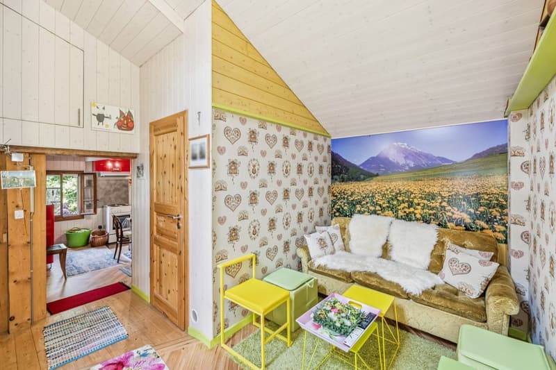 Authentic 1857 mayen on over 4000 m2 of land (2)