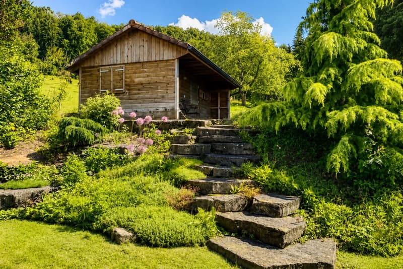 Exceptional Country Property (5)