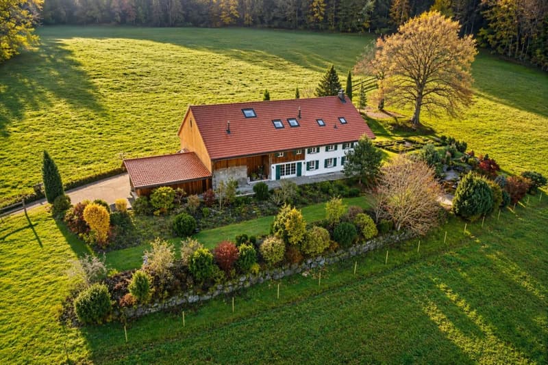 Exceptional Country Property (2)