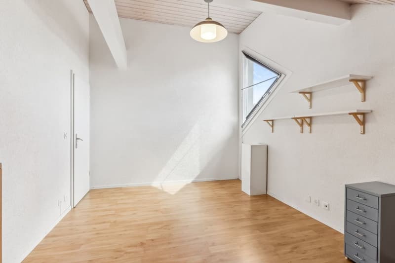 Superbe attique traversant de 110 m² à 15 minutes des portes de Lausanne (8)