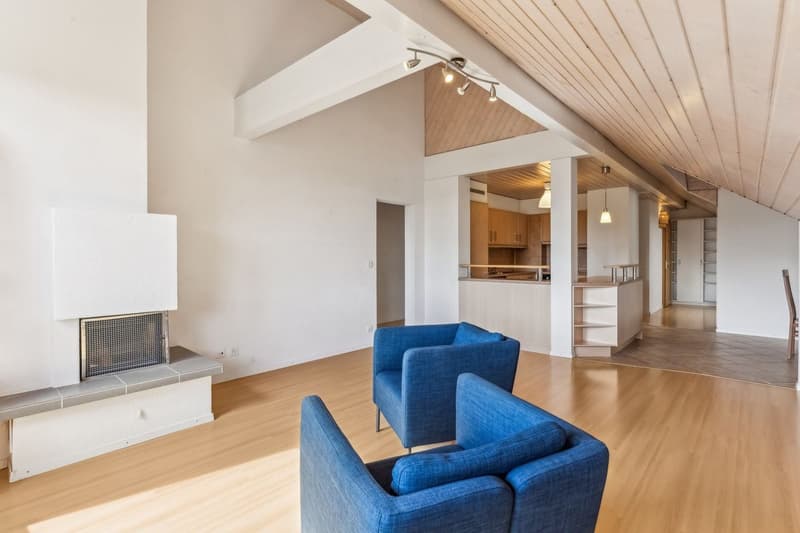 Superbe attique traversant de 110 m² à 15 minutes des portes de Lausanne (3)