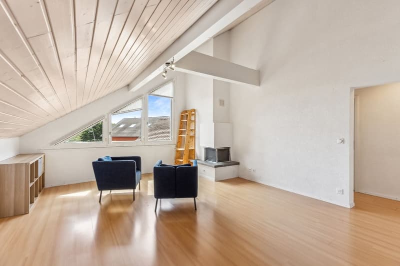 Superbe attique traversant de 110 m² à 15 minutes des portes de Lausanne (1)