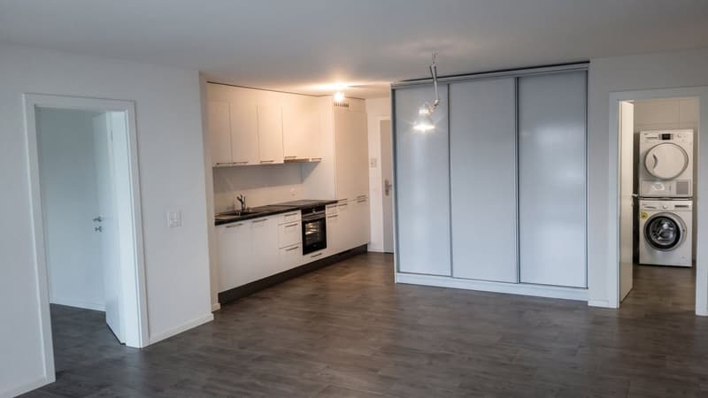 Appartement lumineux de 2,5 pièces avec balcon (1)