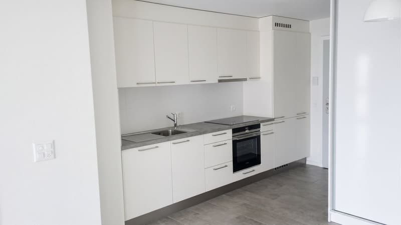 Appartement lumineux de 2,5 pièces avec balcon (4)