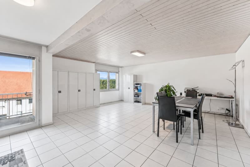 Appartement de 2 pièces avec vue sur les montagnes (3)