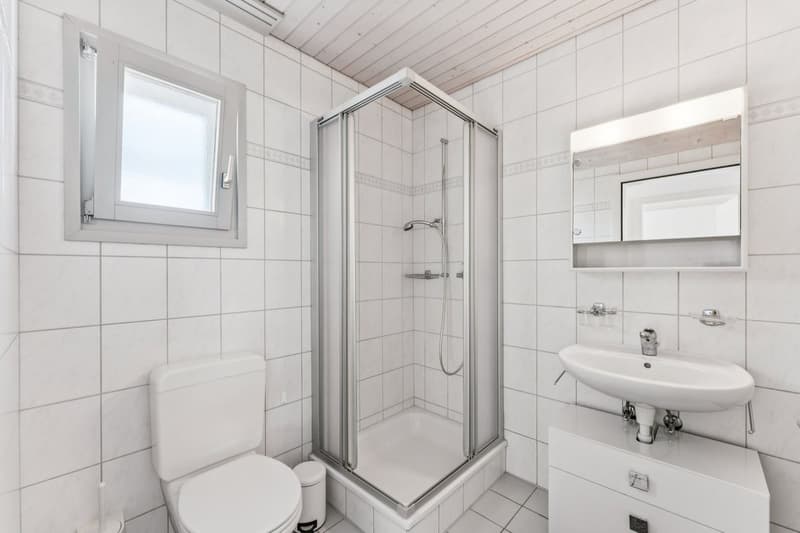 Appartement de 2 pièces avec vue sur les montagnes (6)