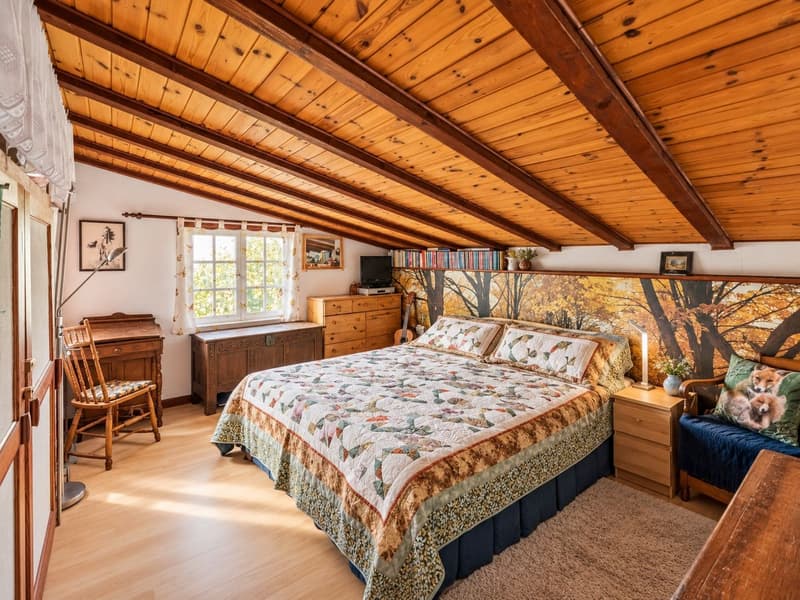 Chalet avec vue sur les Alpes - Résidence secondaire autorisée (7)