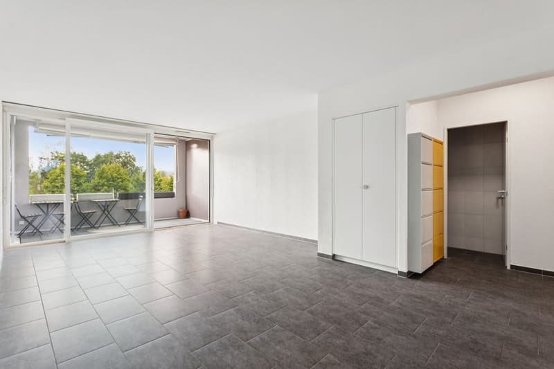Appartement lumineux de 3,5 pièces avec loggia (3)
