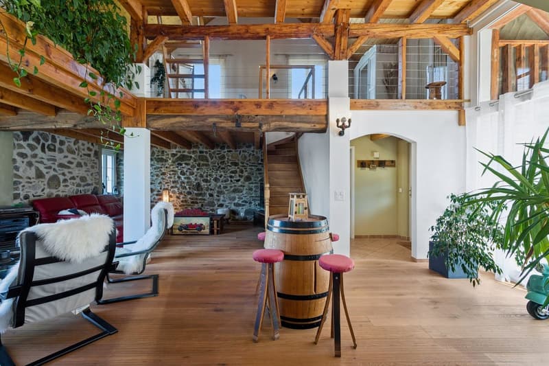 Charmante maison de caractère rénovée (1)